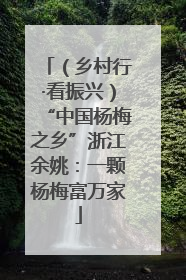 （乡村行·看振兴）“中国杨梅之乡”浙江余姚：一颗杨梅富万家