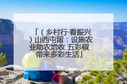 （乡村行·看振兴）山西屯留：设施农业助农增收 五彩椒带来多彩生活