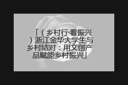 （乡村行·看振兴）浙江金华大学生与乡村结对：用文创产品赋能乡村振兴