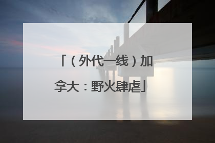 （外代一线）加拿大：野火肆虐