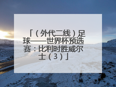 （外代二线）足球——世界杯预选赛：比利时胜威尔士（3）