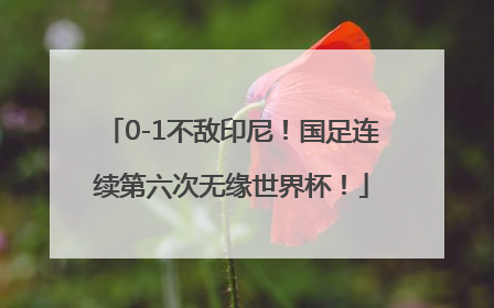 0-1不敌印尼！国足连续第六次无缘世界杯！