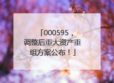 000595，调整后重大资产重组方案公布！