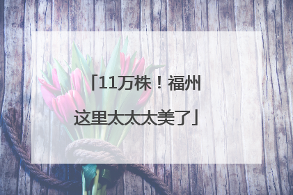 11万株！福州这里太太太美了