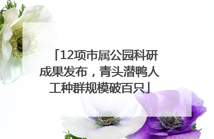 12项市属公园科研成果发布，青头潜鸭人工种群规模破百只