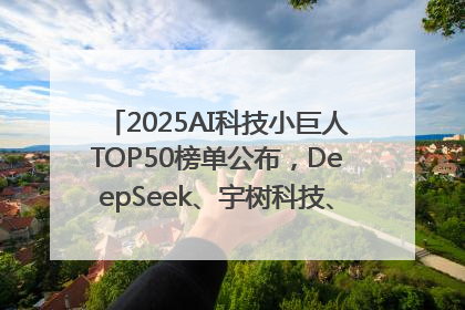 2025AI科技小巨人TOP50榜单公布，DeepSeek、宇树科技、蘑菇车联等企业荣誉上榜
