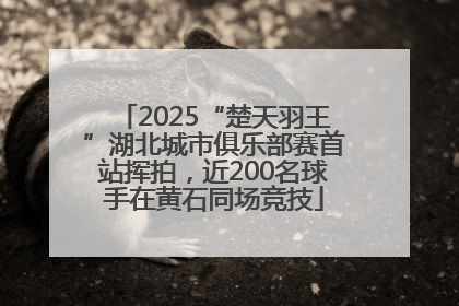2025“楚天羽王”湖北城市俱乐部赛首站挥拍，近200名球手在黄石同场竞技