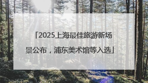 2025上海最佳旅游新场景公布，浦东美术馆等入选