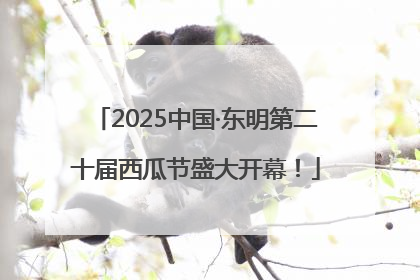 2025中国·东明第二十届西瓜节盛大开幕！