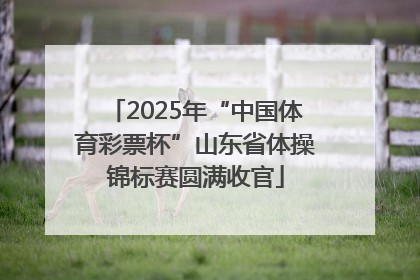 2025年“中国体育彩票杯”山东省体操锦标赛圆满收官