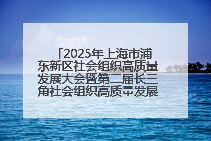 2025年上海市浦东新区社会组织高质量发展大会暨第二届长三角社会组织高质量发展峰会成功举办