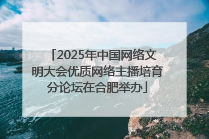 2025年中国网络文明大会优质网络主播培育分论坛在合肥举办