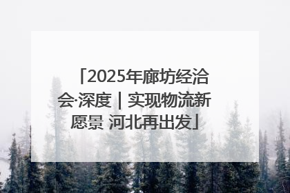 2025年廊坊经洽会·深度｜实现物流新愿景 河北再出发