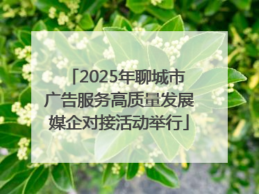 2025年聊城市广告服务高质量发展媒企对接活动举行