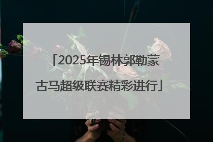 2025年锡林郭勒蒙古马超级联赛精彩进行