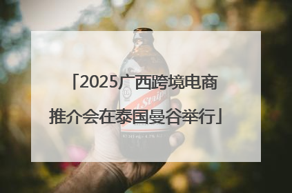 2025广西跨境电商推介会在泰国曼谷举行