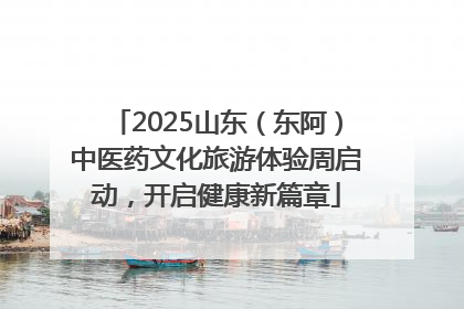 2025山东（东阿）中医药文化旅游体验周启动，开启健康新篇章