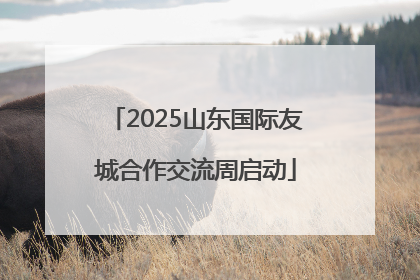2025山东国际友城合作交流周启动