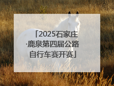 2025石家庄·鹿泉第四届公路自行车赛开赛