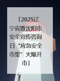 2025辽宁省暨沈阳市安全宣传咨询日“应急安全市集”火爆开市