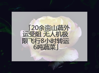 20余亩山蔬外运受阻 无人机极限飞行8小时转运6吨蔬菜