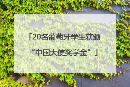 20名葡萄牙学生获颁“中国大使奖学金”