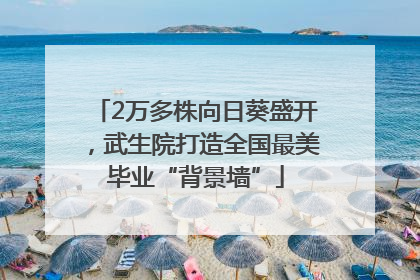 2万多株向日葵盛开，武生院打造全国最美毕业“背景墙”