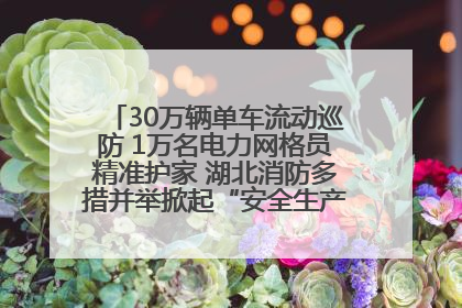 30万辆单车流动巡防 1万名电力网格员精准护家 湖北消防多措并举掀起“安全生产月”宣传热潮