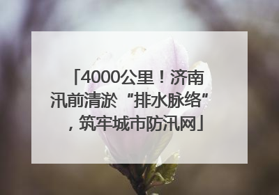 4000公里！济南汛前清淤“排水脉络”，筑牢城市防汛网
