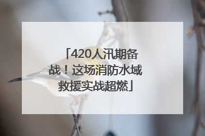 420人汛期备战！这场消防水域救援实战超燃
