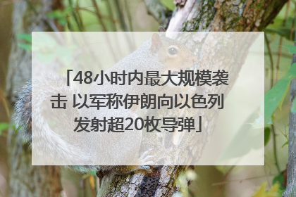 48小时内最大规模袭击 以军称伊朗向以色列发射超20枚导弹