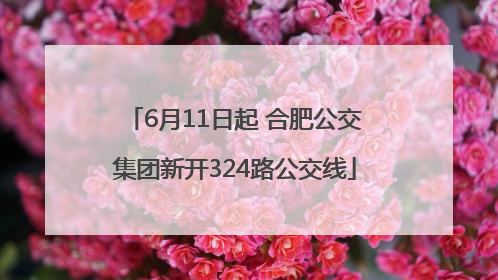6月11日起 合肥公交集团新开324路公交线