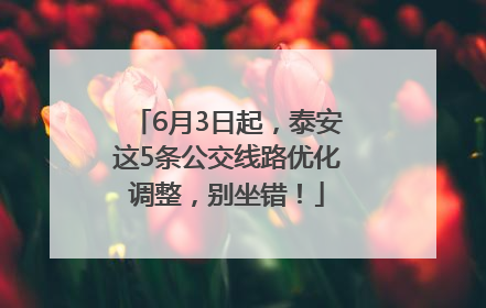 6月3日起，泰安这5条公交线路优化调整，别坐错！