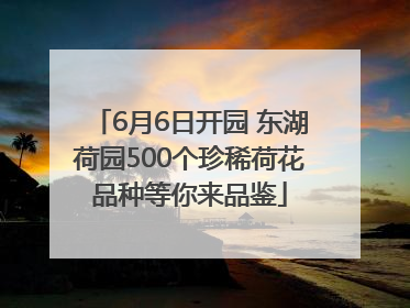 6月6日开园 东湖荷园500个珍稀荷花品种等你来品鉴