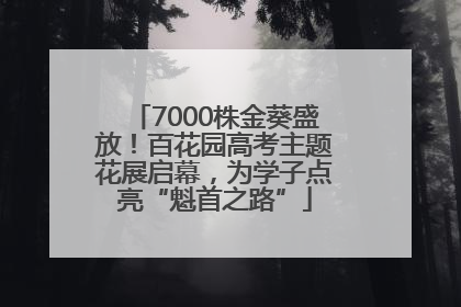 7000株金葵盛放！百花园高考主题花展启幕，为学子点亮“魁首之路”