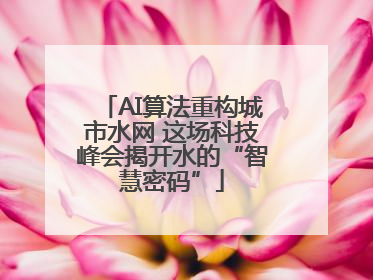 AI算法重构城市水网 这场科技峰会揭开水的“智慧密码”