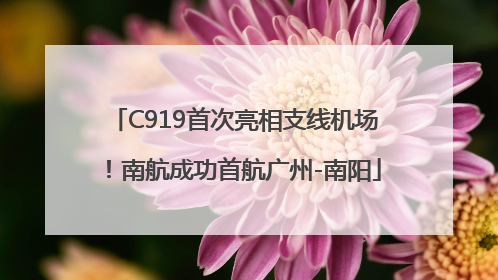 C919首次亮相支线机场！南航成功首航广州-南阳