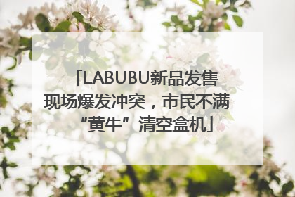 LABUBU新品发售现场爆发冲突，市民不满“黄牛”清空盒机